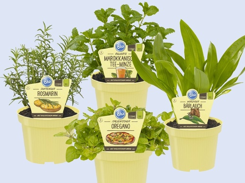 Bruidsboeketten - GroenRijk Tilburg foto 2